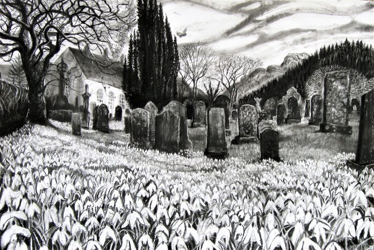 Snowdrops in Kirkton Graveyard - Sarah Longley  ARUA